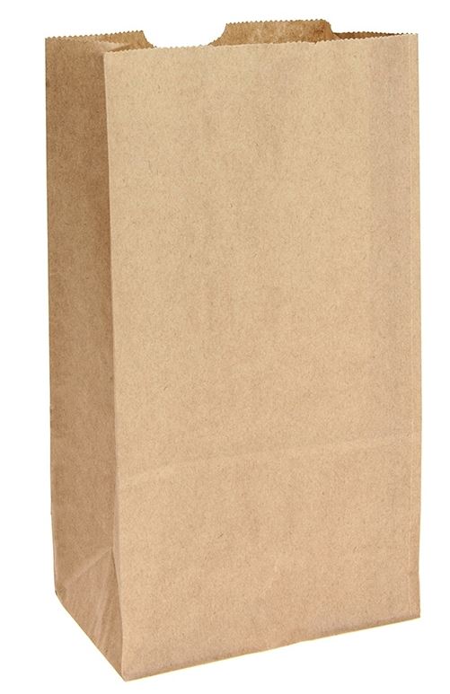 Checkout Paper Bags